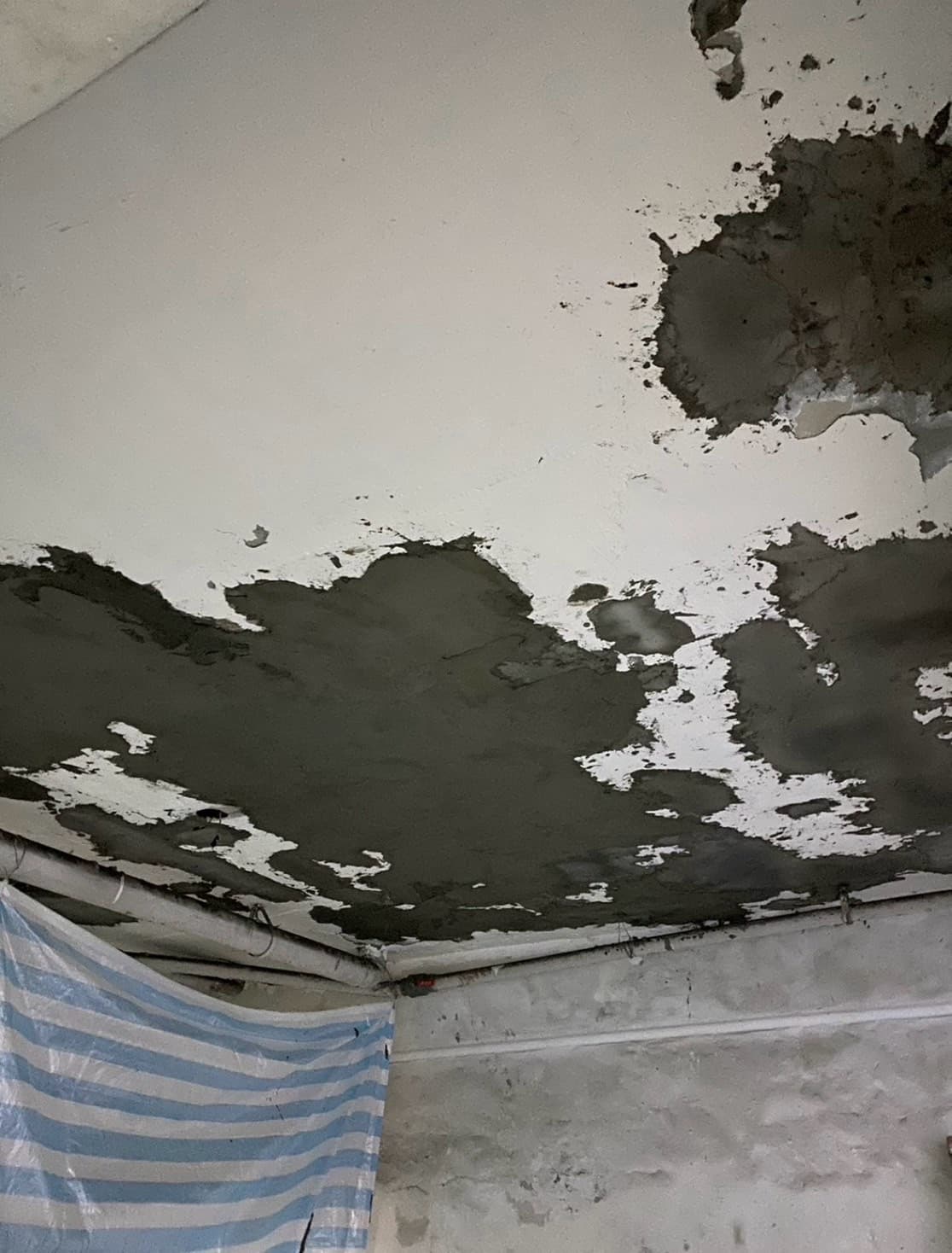 天花板結構補強工程 - 施工照片 2